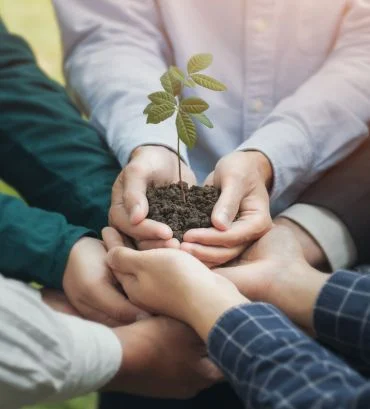 Sustainability