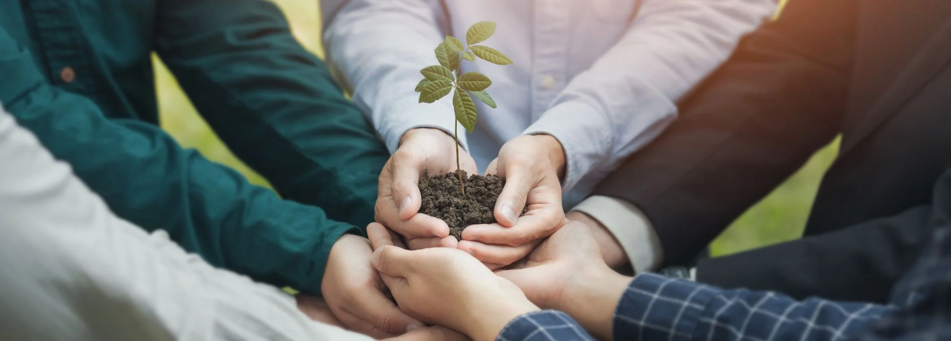 Sustainability